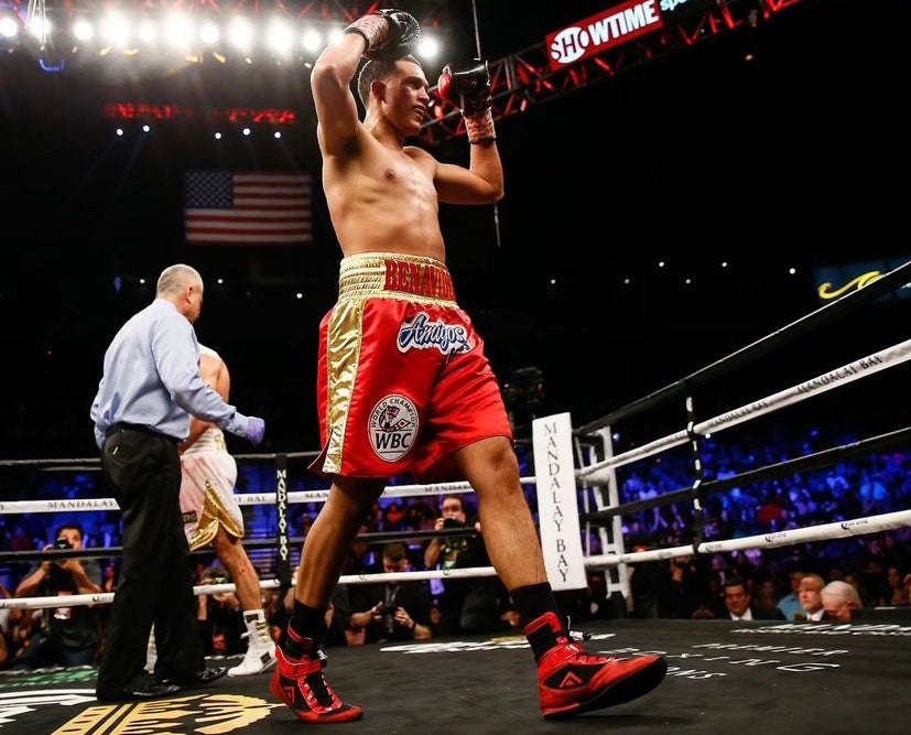 ON SALE Adams Boxing