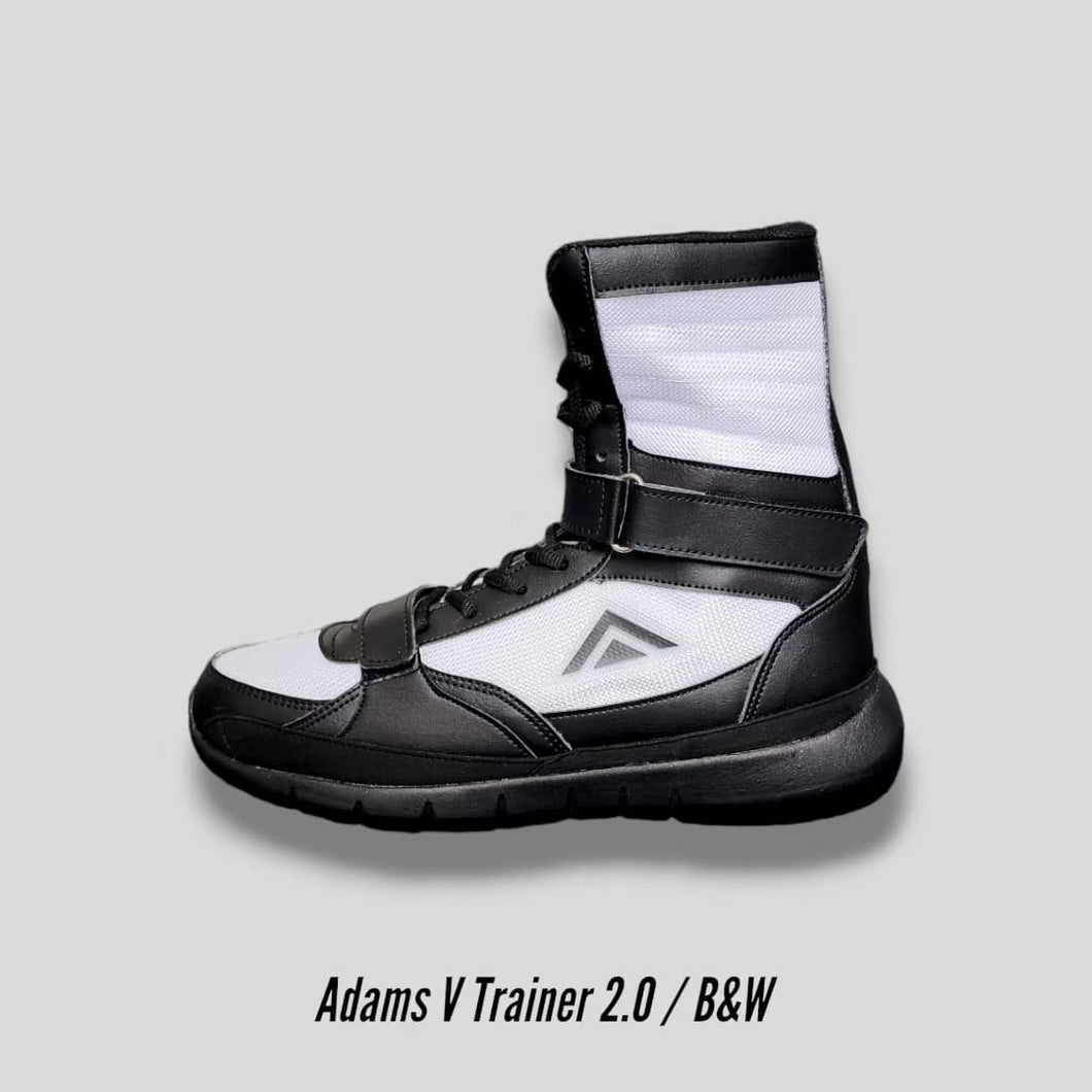 Adams V-Trainer 2.0