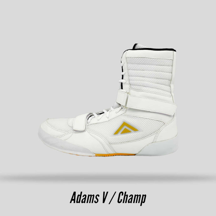 AB-V Pro Champ